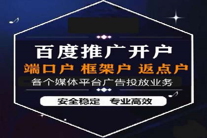 SEM专员的角色与成功案例解析